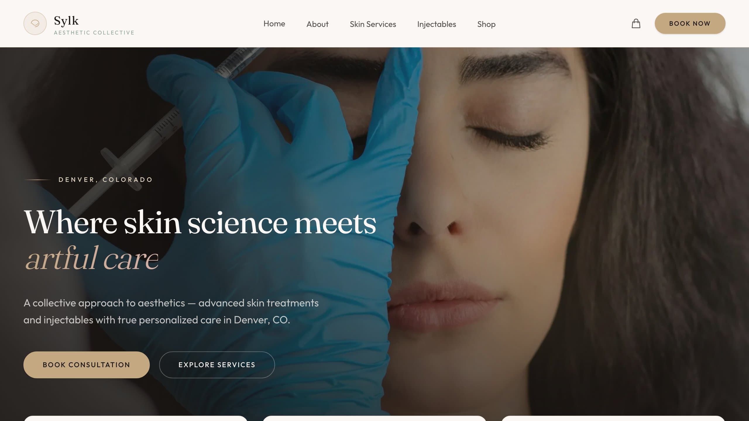Sylk Aesthetic Collective website preview